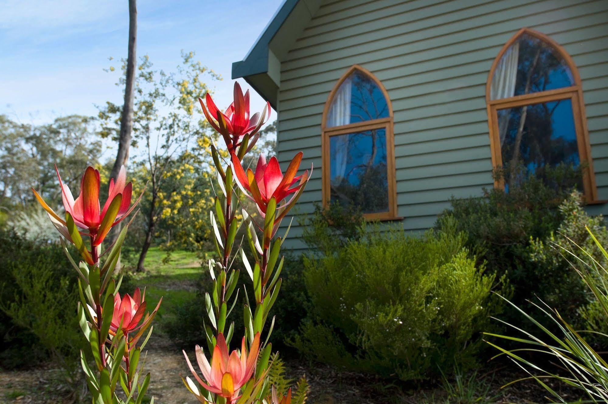Abbotts Rest Villa Hepburn Springs Buitenkant foto
